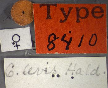 Media type: image;   Entomology 8410 Aspect: labels